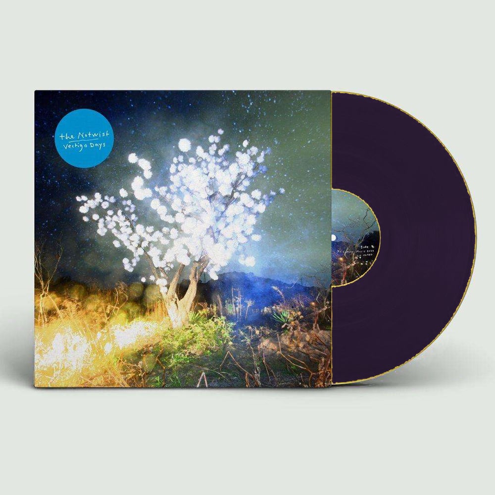 VERTIGO DAYS <br>CD & LP (variants)