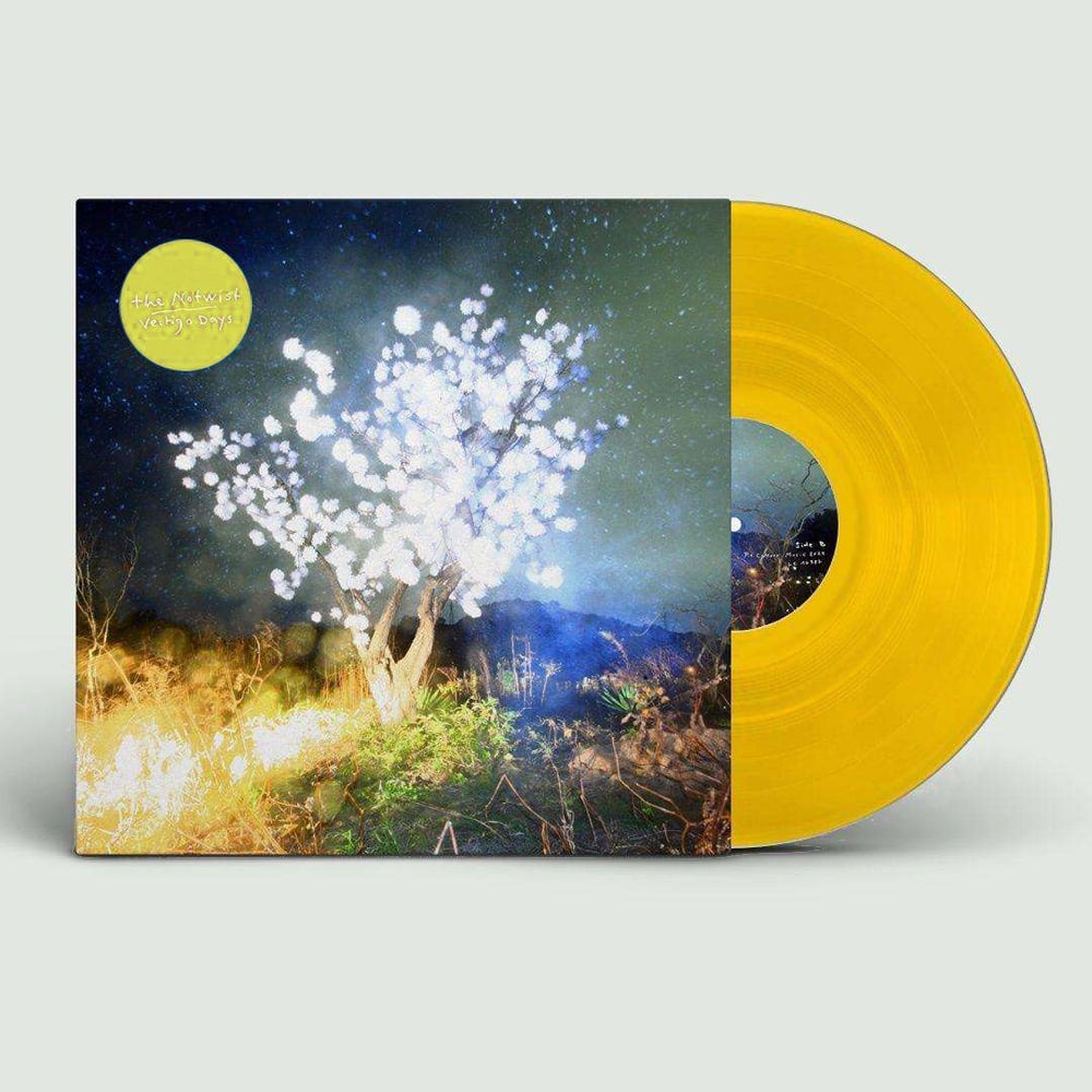 VERTIGO DAYS <br>CD & LP (variants)