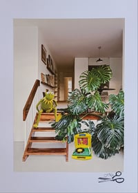 Image 1 of Barbican Boy