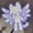 Image of Angel Kitty Glitter Stardust Vinyl Waterproof Sticker