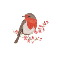 Image 3 of SPRING ROBIN BLANK CARD