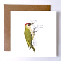 Image 1 of GREEN WOODPECKER  BLANK CARD