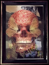 Image of Metamorphosis