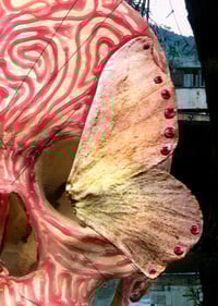 Image of Metamorphosis
