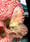 Image of Metamorphosis