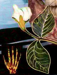 Image of Metamorphosis