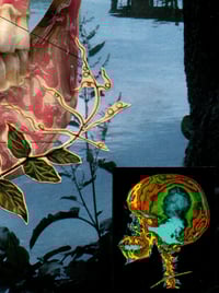 Image of Metamorphosis