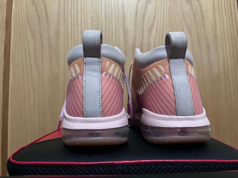 LeBron Icon John Elliott Tulip Pink