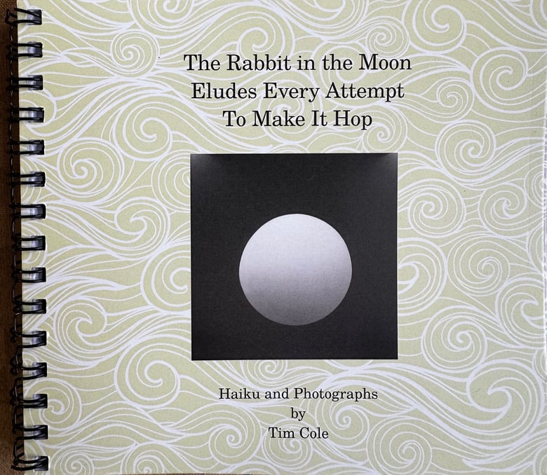 Image of The Rabbit in the Moon Eludes Every Attempt to Make It Hop