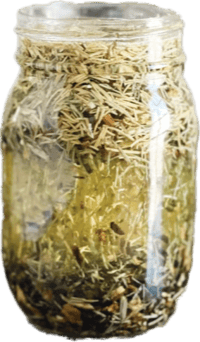 Image 3 of Brow, Eyelash, Hair Growth Elixir  