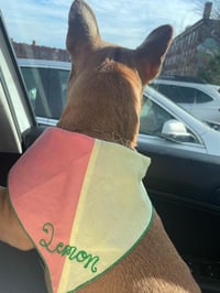 Image 1 of Two Tone Triangle Bandana with Chainstitch Embroidery