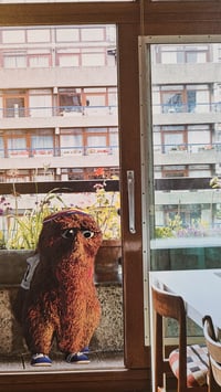 Image 3 of Locked Out