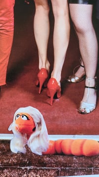 Image 3 of Puppet Party 1977