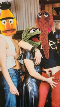 Image 4 of Puppet Party 1977