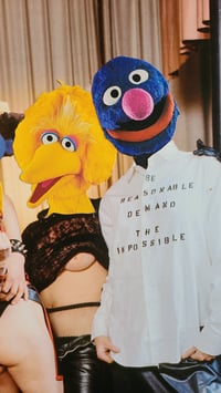 Image 5 of Puppet Party 1977