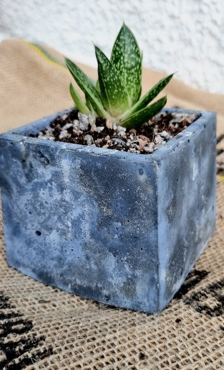 Small Square Pot