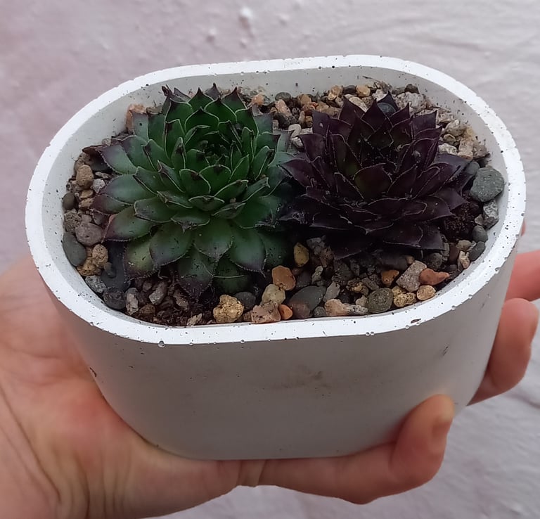 Small Oval Pot