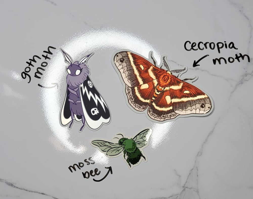 Image of Entomology Stickers!