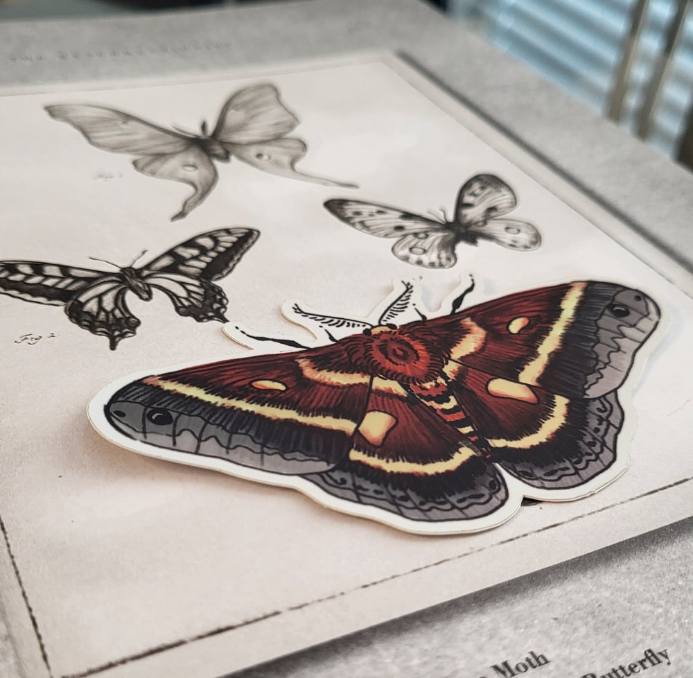 Image of Entomology Stickers!