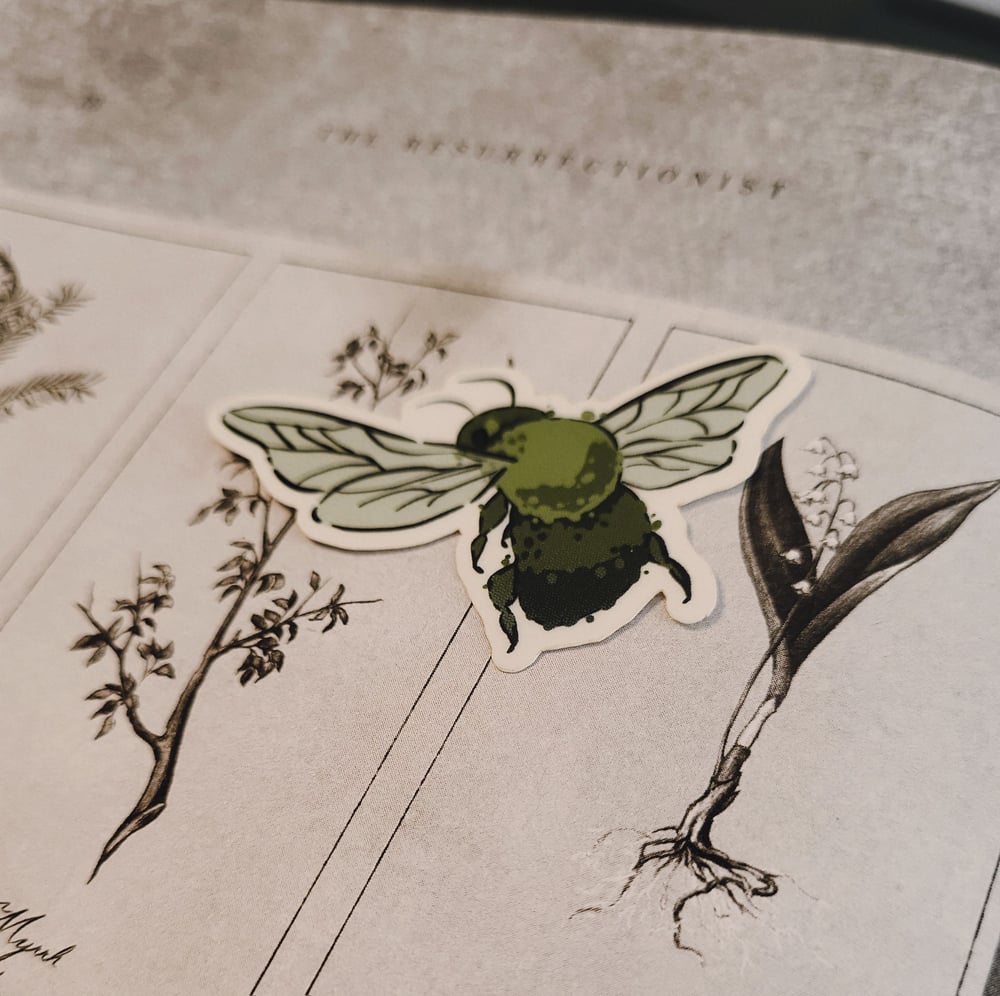 Image of Entomology Stickers!