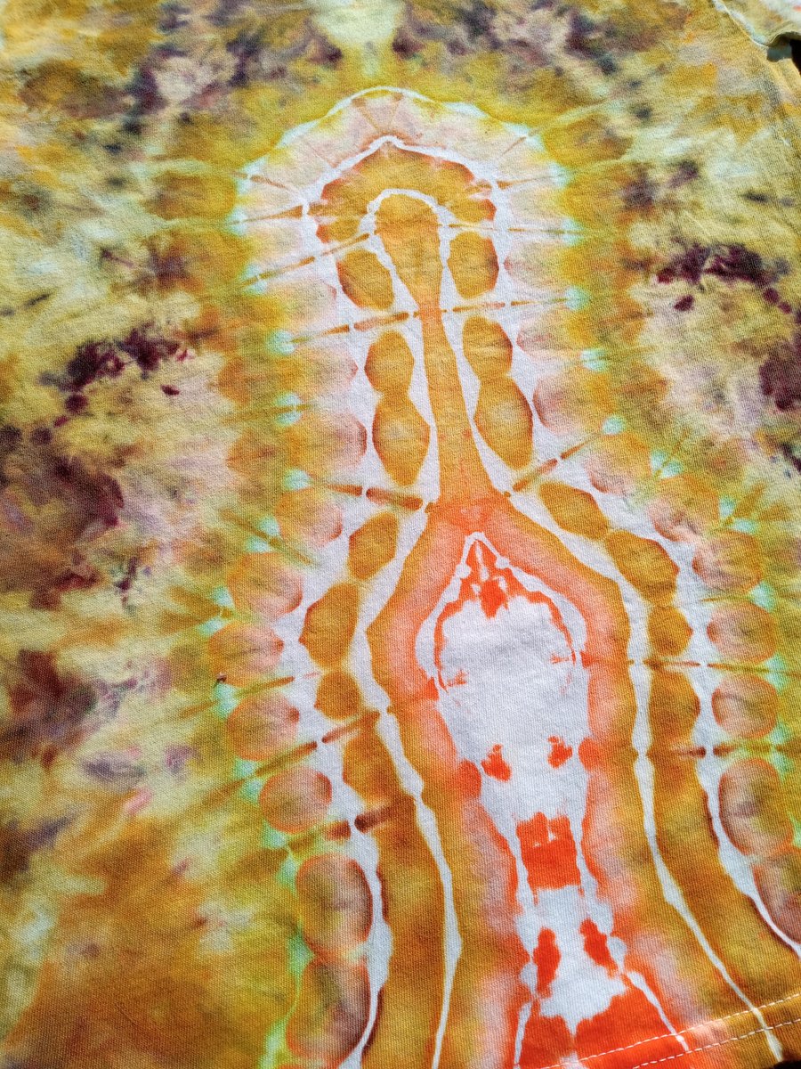 Image of Tie Dye Turtle Mushroom Ice Dye with Spine Detail Short Sleeve T-Shirt