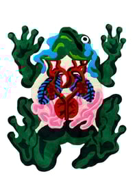 Frog Splayed LARGE RUG