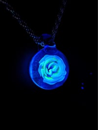 Image 1 of Uv reactive Blue rose pendant backed with blue stardust.