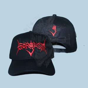 Image of Logo Hat