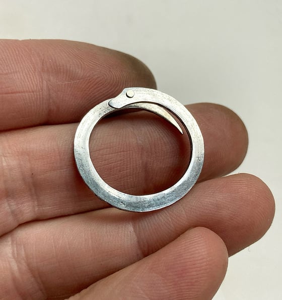 Image of Non-Ouroborosian Ring