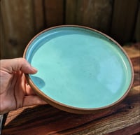 Image 1 of MINT plates - Warm Clay