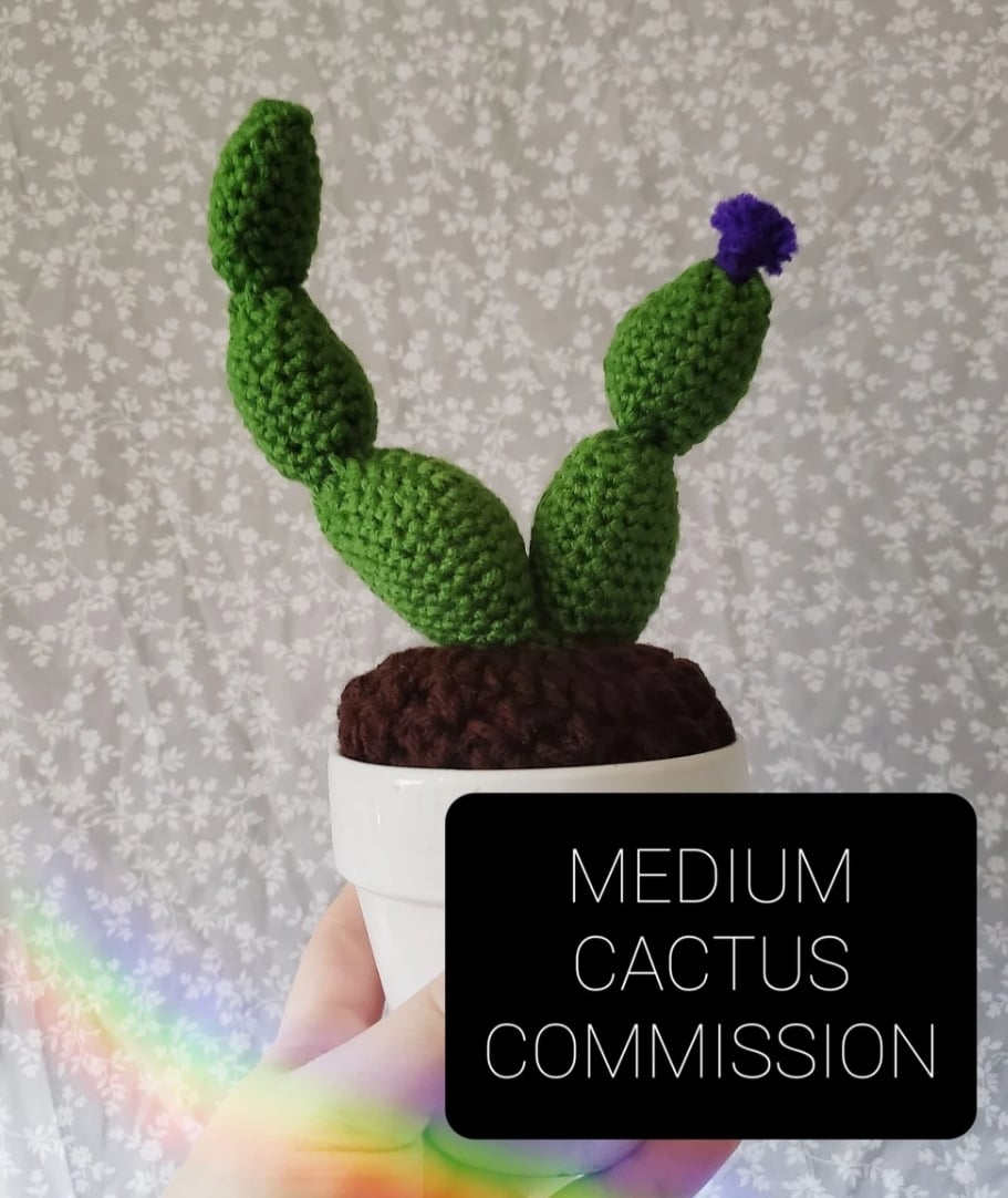 MEDIUM CACTUS COMMISSION 