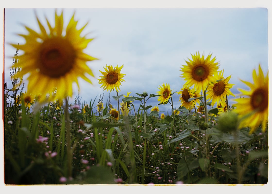 Image of rest stop pop