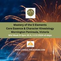 Image 1 of Mastery of the 5 Elements Mid Week Course 30.4 & 1-2 May 2024 x3 days 9-3pm