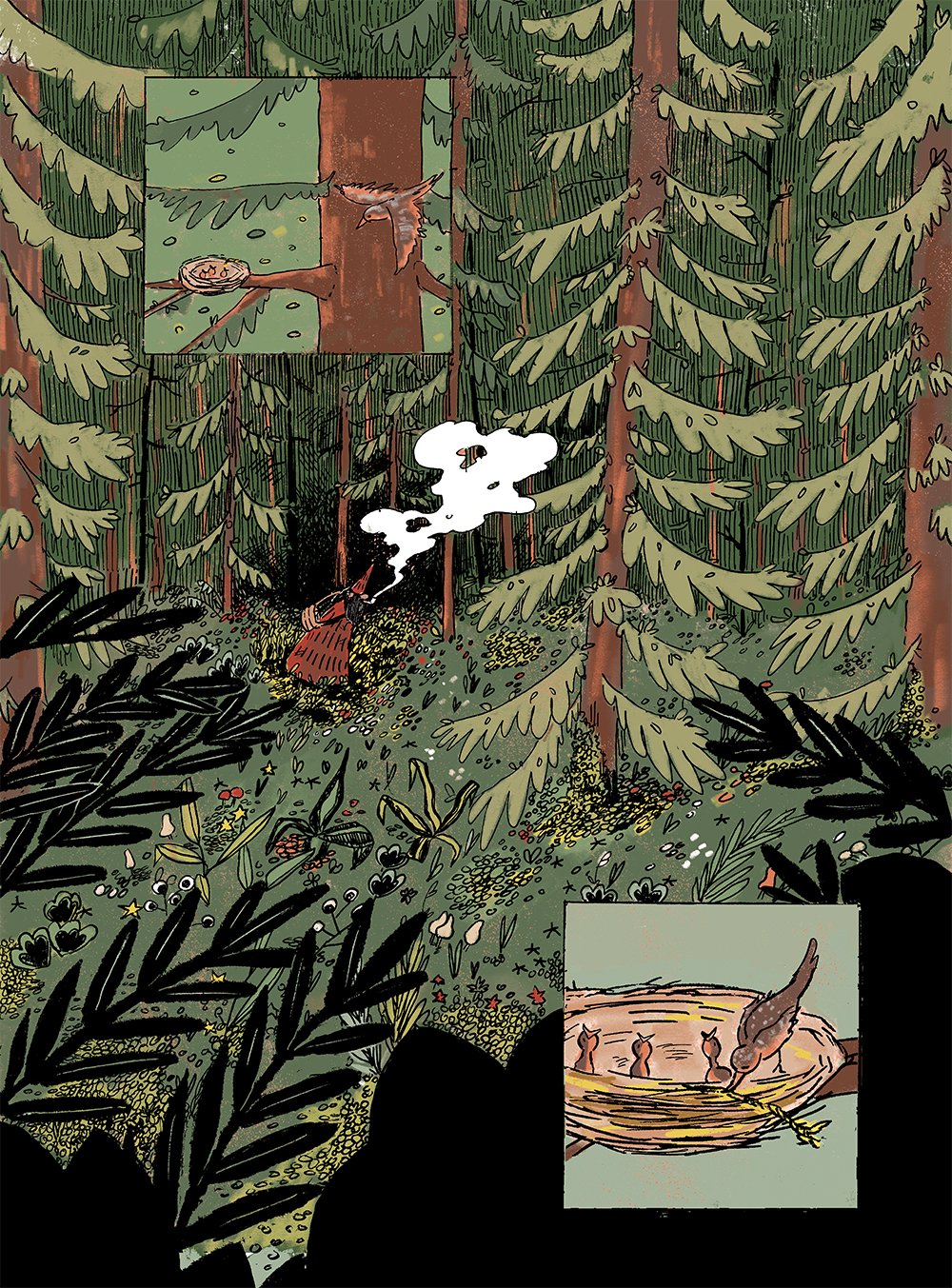 Safer Places by Kit Anderson