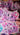 Kawaii Neko - Peeker Sticker