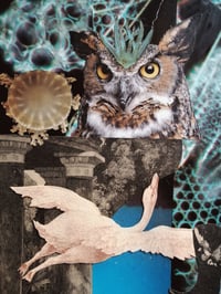 Image of Through the unseen realms