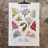 Image 1 of Seaweed School Chart