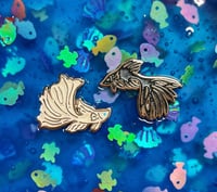 Image 2 of betta fish
