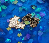 Image 1 of betta fish