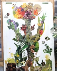 Image 1 of Walking Nature