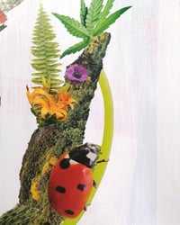 Image 3 of Walking Nature