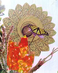 Image 4 of Walking Nature