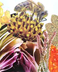 Image 5 of Walking Nature