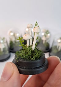 Image 2 of Small porcelain mushroom cloche