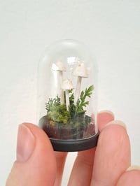 Image 4 of Small porcelain mushroom cloche