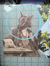 Image of Conversas à janela