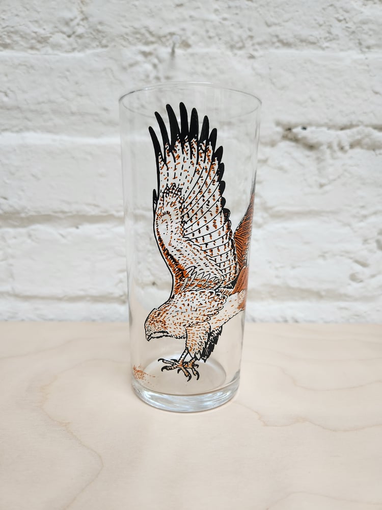 Image of Red-tailed Hawk (15oz)