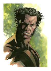 Wolverine 002
