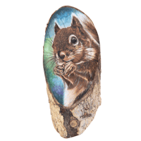 Image 1 of Squirrel’s Harvest