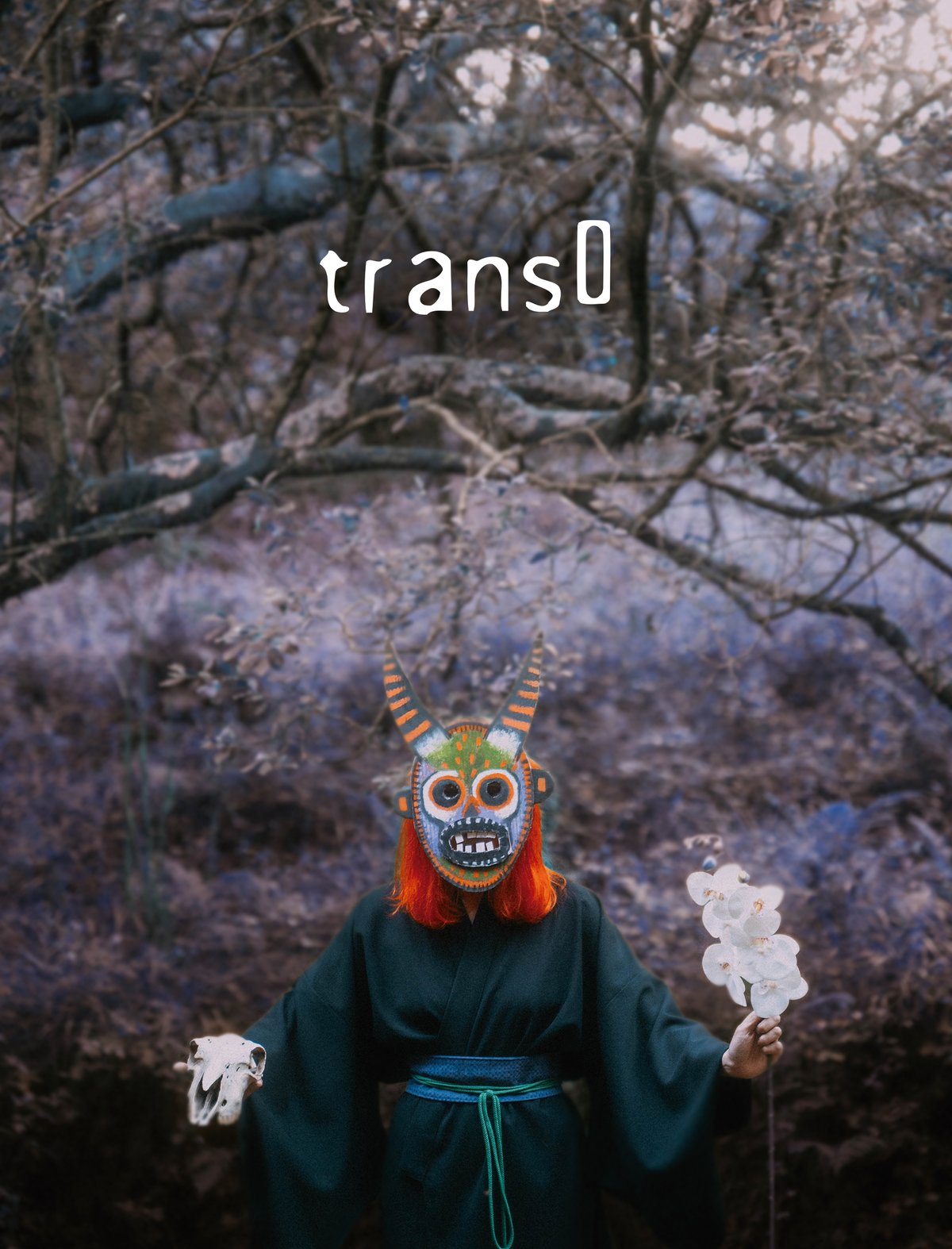 Image of trans0